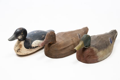 THREE AMERICAN PAINT-DECORATED WORKING DUCK DECOYS, INCLUDING TWO CANVAS-OVER-WIRE EXAMPLES.