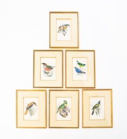 SIX M. & N. HANHART (ENGLISH, ACTIVE 1839-1882) HAND-COLORED ORNITHOLOGICAL LITHOGRAPHS.
