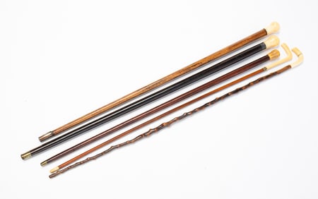 GROUP OF FIVE CANES AND WALKING STICKS, INCL. TWO ROSEWOOD EXAMPLES.