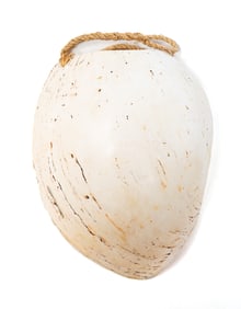 PAPUA NEW GUINEA MENDI BAILER SHELL NECKLACE.