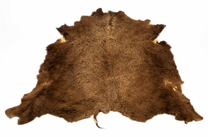 BUFFALO HIDE RUG.