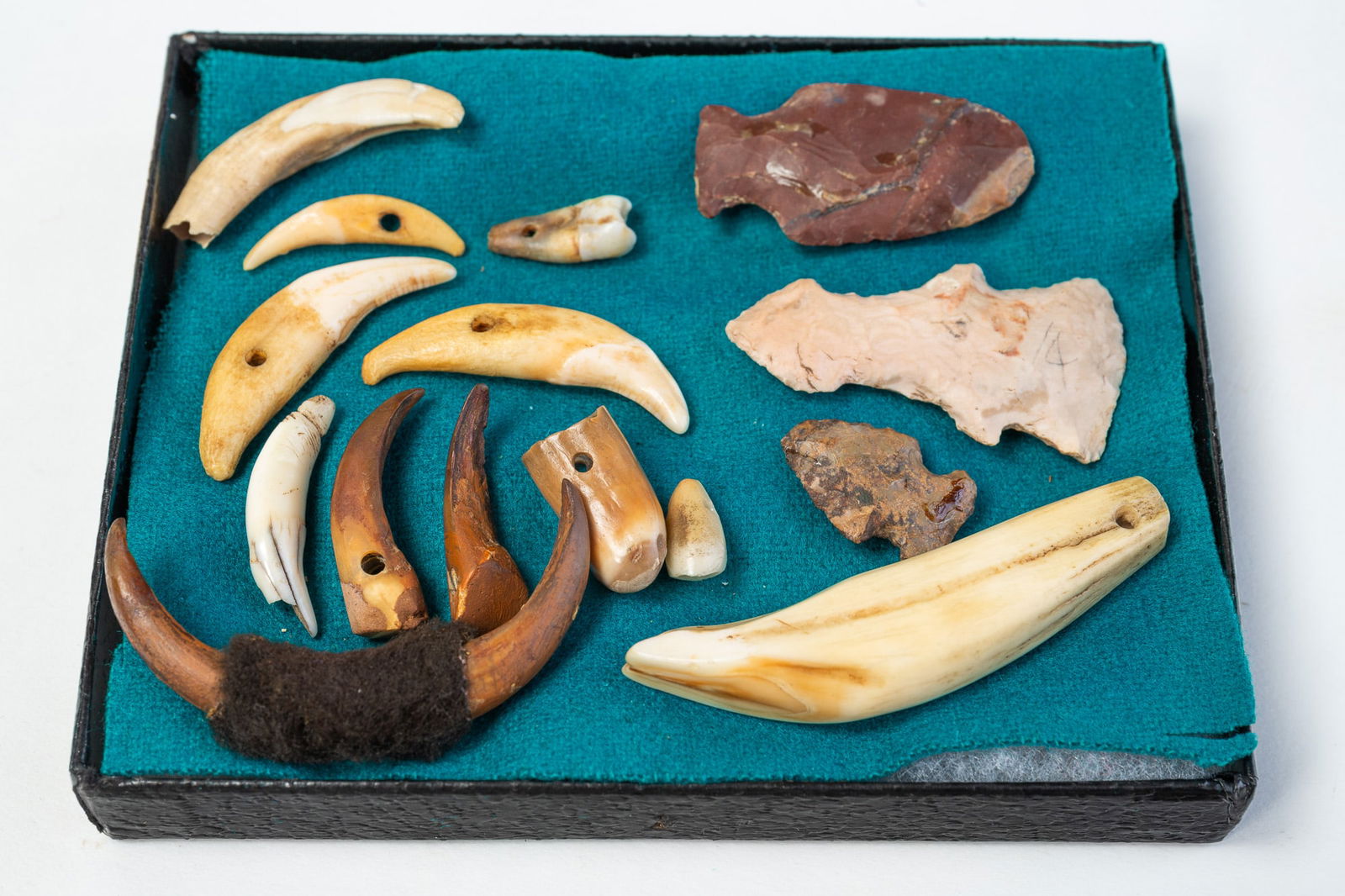 GROUPING OF BONES, TEETH AND POINTS.: Native American. Diminutive case filled with teeth, bones and points. Case, 5.5"h. 4.5"w.Provenance: From the Lifetime Collection of the late Ken Hanna (Chester, New Jersey).