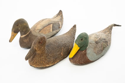 THREE AMERICAN PAINTED CANVAS MALLARD DUCK DECOYS.