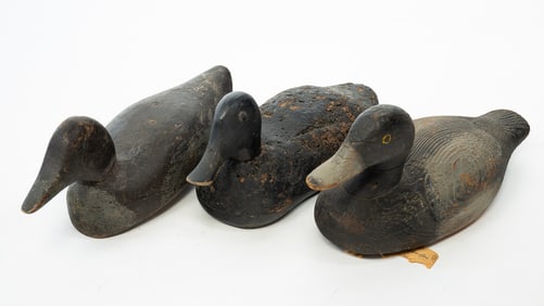 THREE AMERICAN CARVED AND PAINTED DUCK DECOYS, INCL. MARYLAND BLUEBILL.