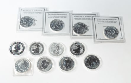 TWELVE ONE OUNCE FINE SILVER COINS.