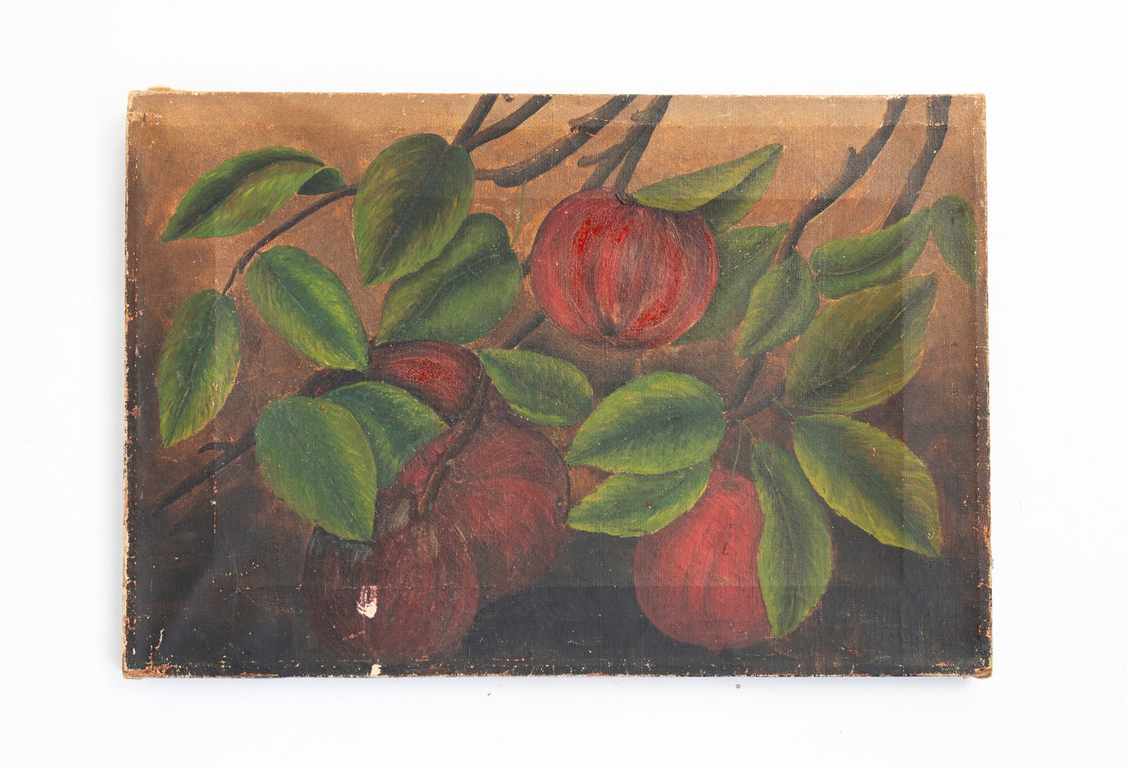 AMERICAN SCHOOL FOLK ART OIL ON CANVAS STILL LIFE OF APPLES.: 19th Century. Still-life of red apples hanging on the branches. Unsigned. 11.5"h. 17"w.Provenance: From the Collection of Peggy McClard & Randy Segotta (Weare, New Hampshire).