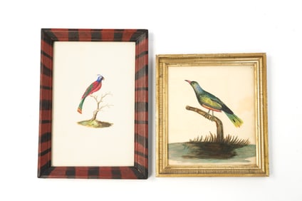 TWO AMERICAN SCHOOL WATERCOLORS OF BIRDS.