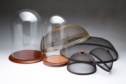 TWO GLASS CLOCHES AND FOUR MESH FOOD COVERS.