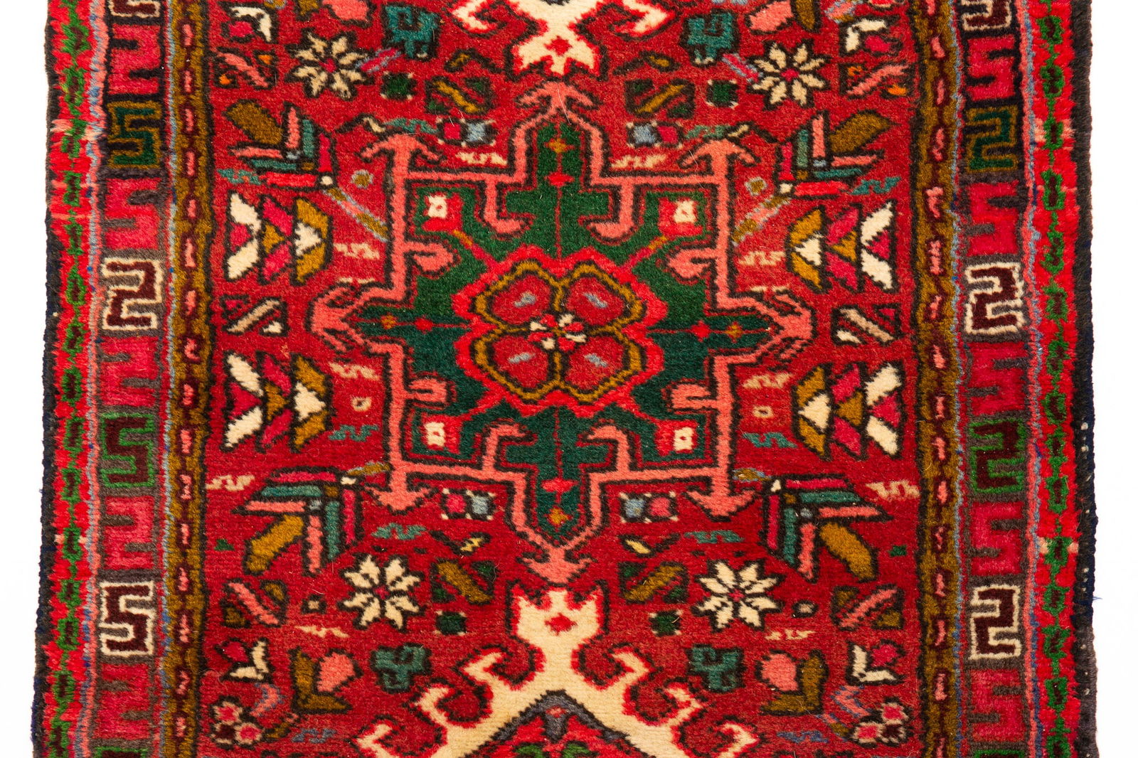 CAUCASIAN RUNNER. - 2