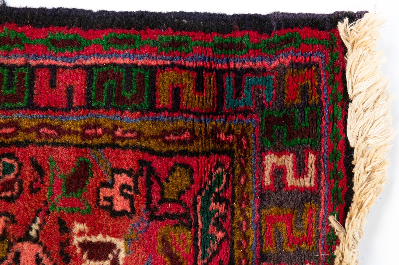 CAUCASIAN RUNNER. - 3