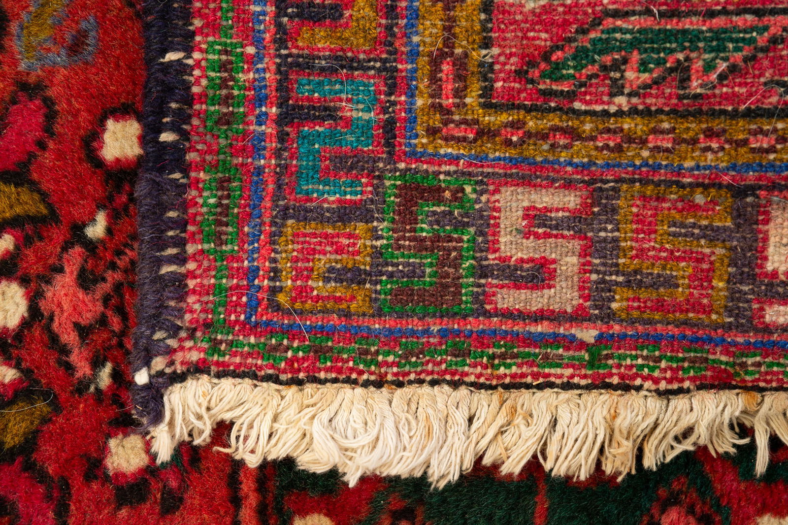 CAUCASIAN RUNNER. - 4