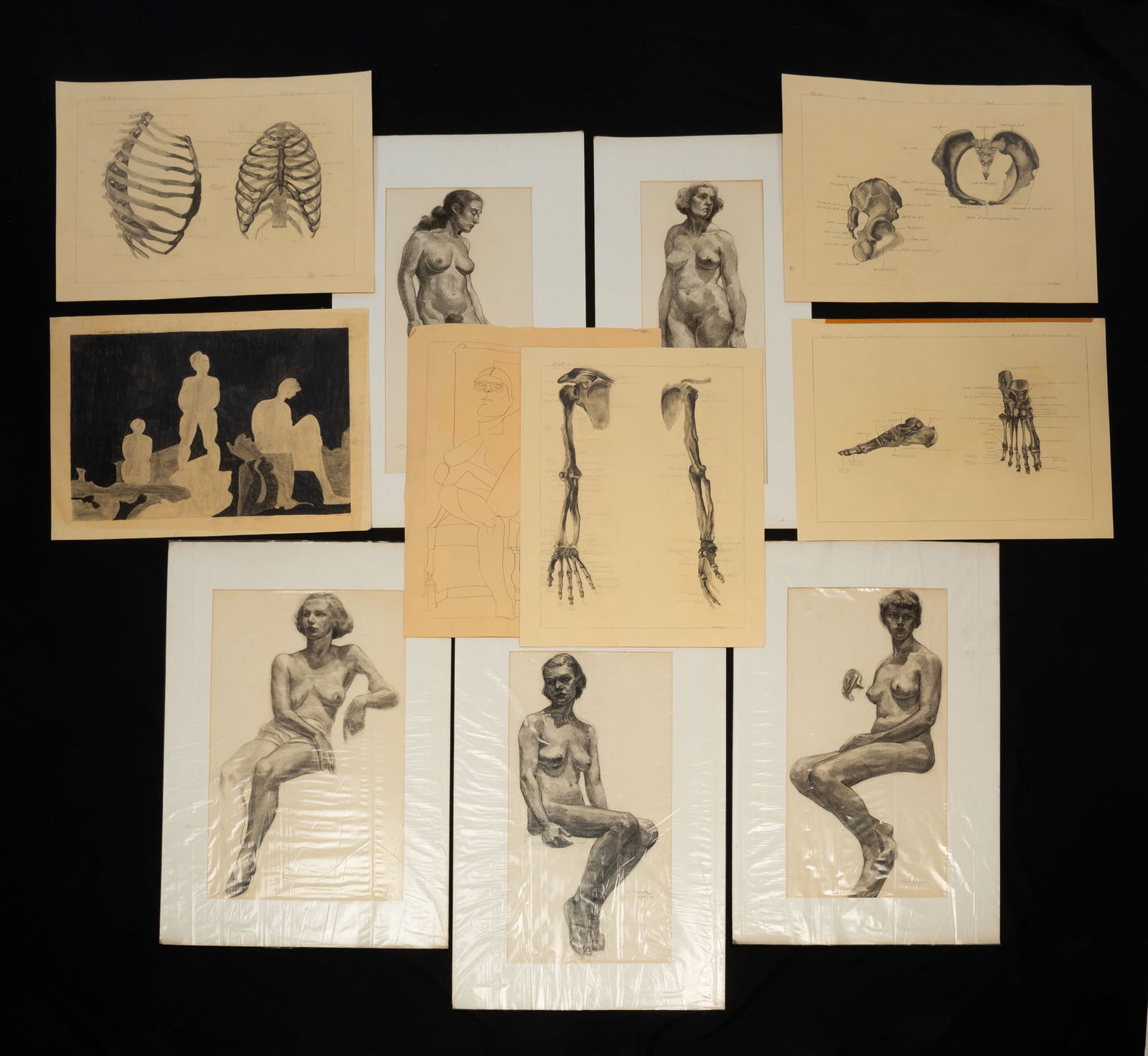 COLLECTION OF ELEVEN AMERICAN SCHOOL CHARCOAL AND GRAPHITE DRAWINGS.: Comprising five charcoal nude drawings of women signed "Cressler," and six life and anatomy drawings, some signed "Sue Rogers." None framed. Provenance: From the Lifetime Collection of Darwin D. Bearl