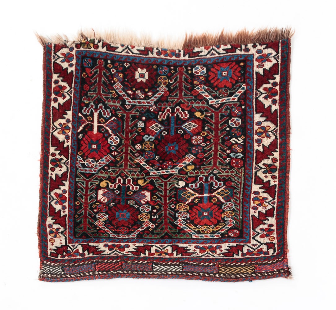 CAUCASIAN BAG FACE. (1 of 4)