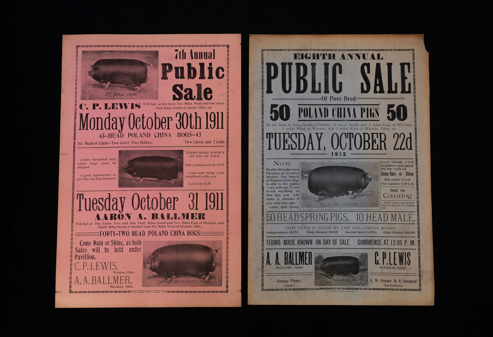 TWO OHIO HOG AUCTION BROADSIDES, DATED 1911 AND 1912. (1 of 5)