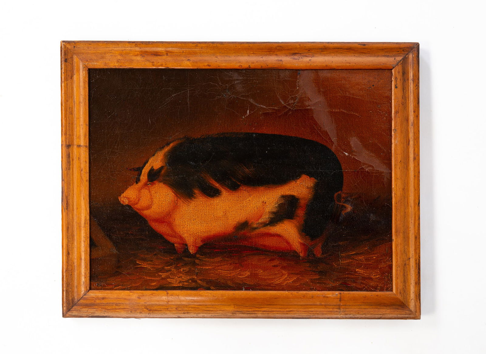 FOLK ART OIL ON CANVAS OF PRIZE PIG. (1 of 3)