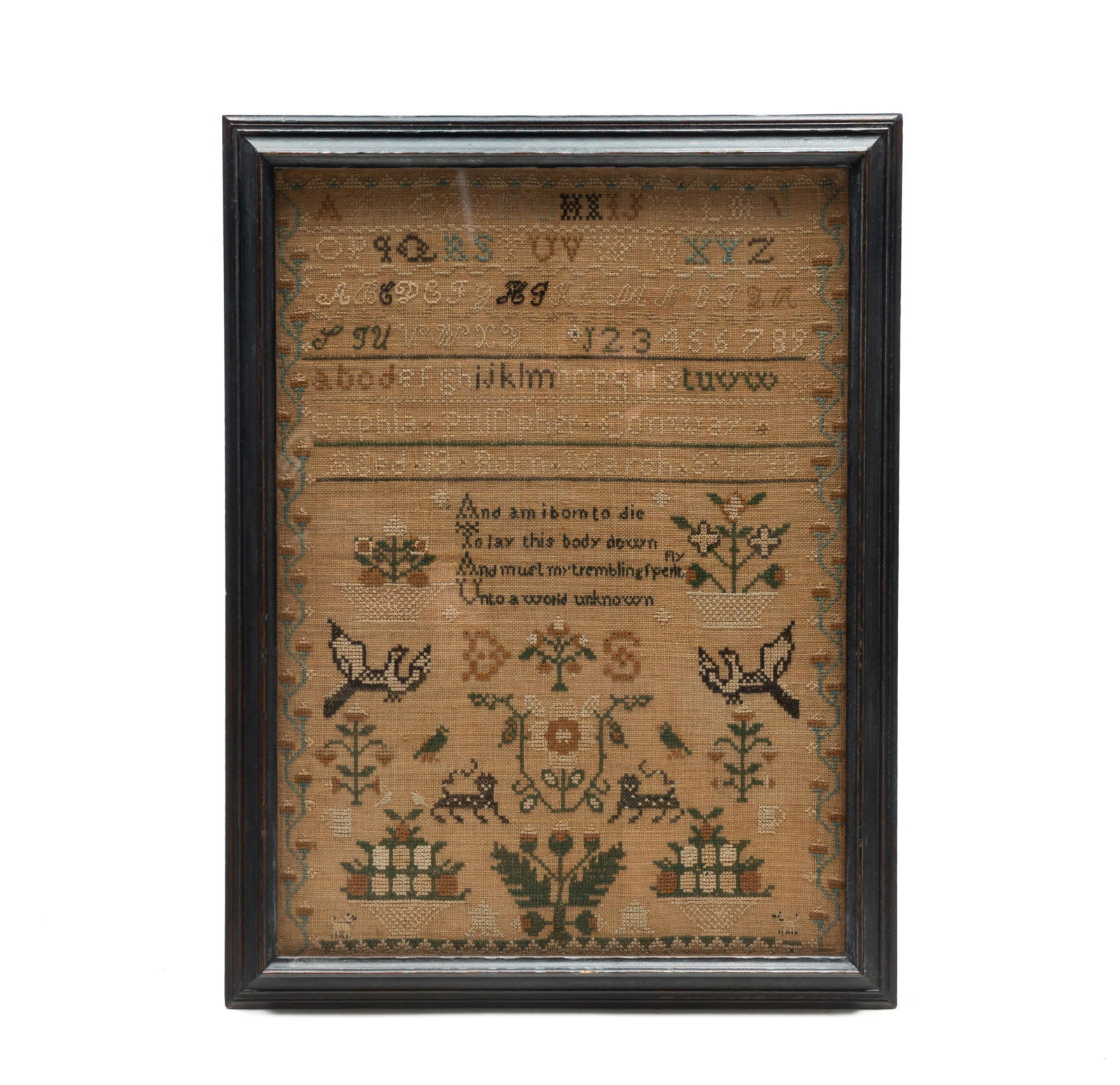 SOPHIA PULSIPHER (MASSACHUSETTS, B. 1798) WHITE DOVE SCHOOL NEEDLEWORK SAMPLER, DATED 1811. Frame, (1 of 4)