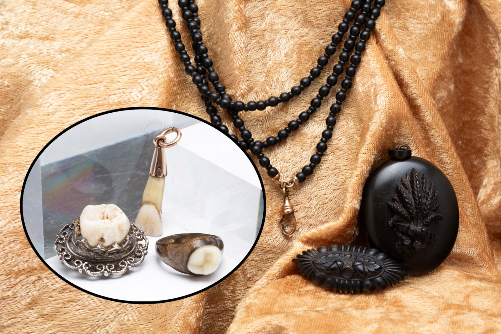 VICTORIAN TOOTH RING, BROOCH, AND CHARM AND VICTORIAN JET LOCKET, BROOCH, AND CHAIN. Brooch, 0.75"h.: American, Second half 19th Century. A ring with a baby tooth, size 2, a silver-tone brooch set with a large molar, and a 9k charm holding a full tooth. An oval jet locket with a sheath of wheat on the