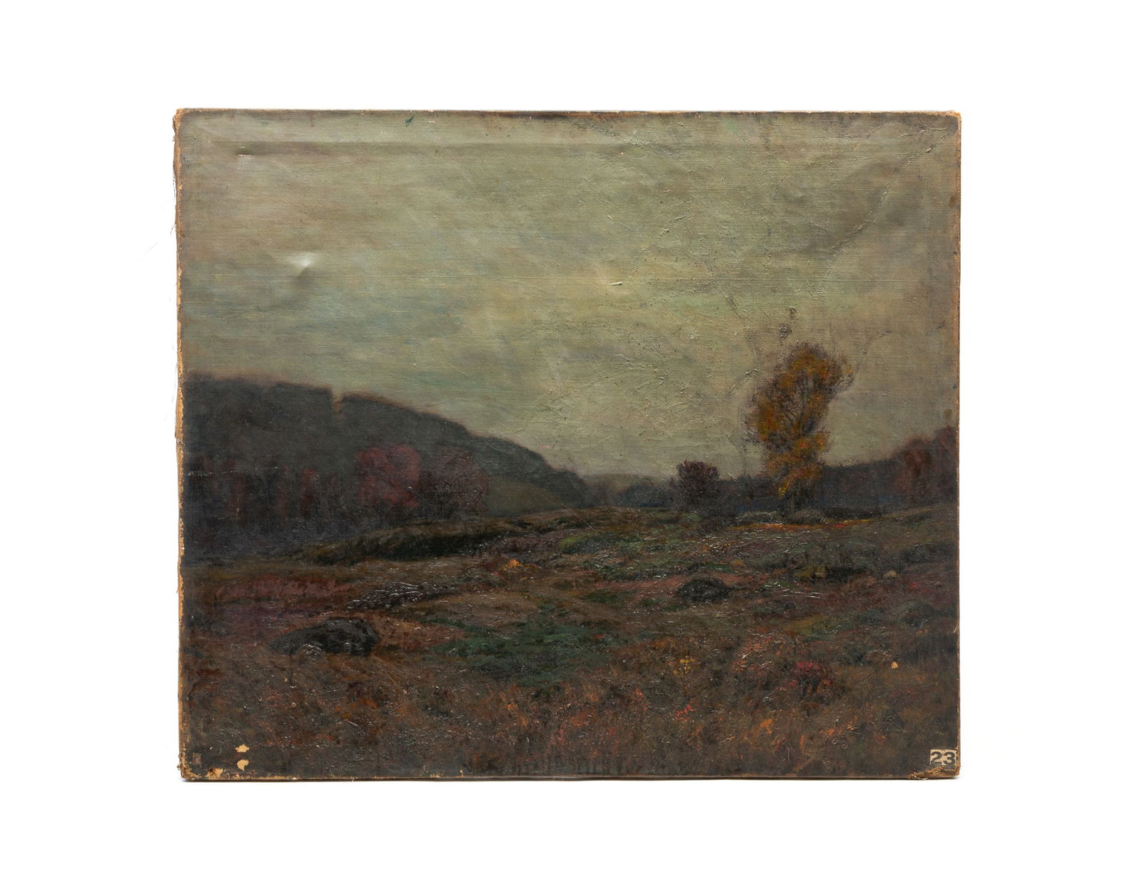 EDWARD PARKER HAYDEN (OHIO/NEW YORK/MASSACHUSETTS, 1858-1922) "WET FIELDS" OIL ON CANVAS.: American, ca. 1900. Depicting a large tree-lined field under a blue-gray sky. Signed and titled to back. 36"h. 42"w. SHIPPING: All purchases from Amelia Jeffers, Auctioneers & Appraisers may be picked