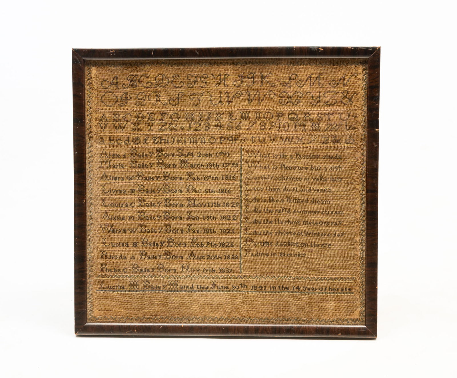 FAMILY TREE SAMPLER WROUGHT BY LUCINDA BAILEY. (1 of 4)