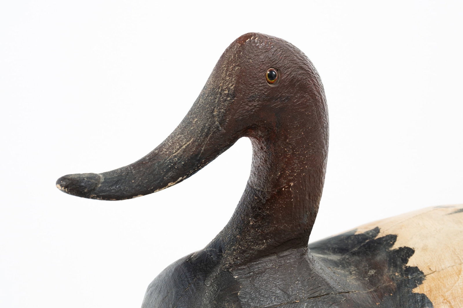 LARGE CARVED AND PAINTED CANVASBACK DUCK DECOY. - 2