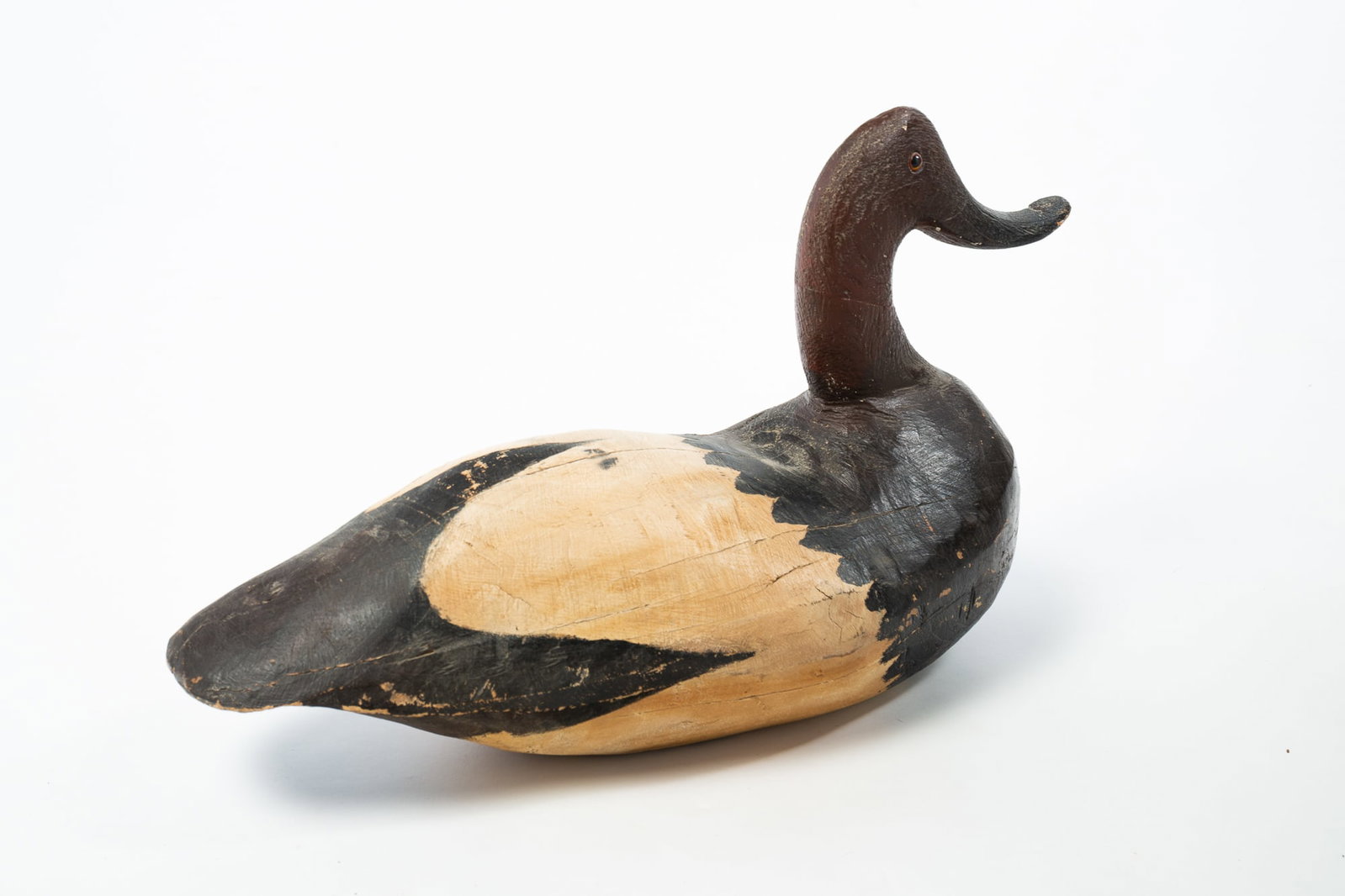 LARGE CARVED AND PAINTED CANVASBACK DUCK DECOY. - 4