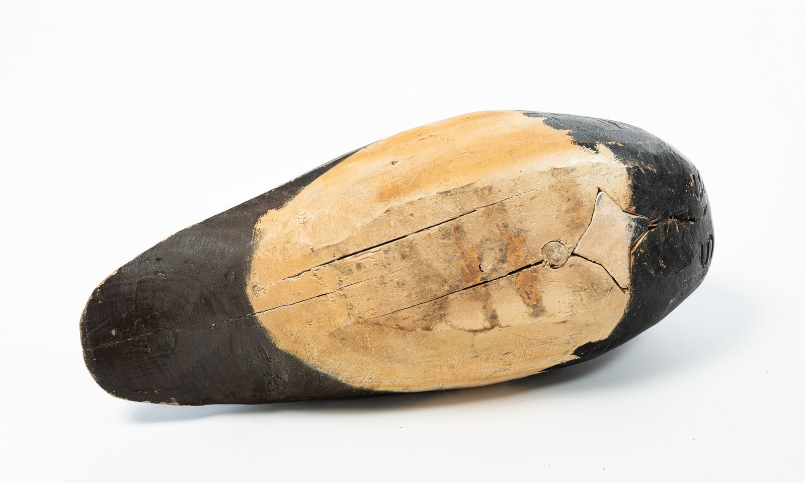 LARGE CARVED AND PAINTED CANVASBACK DUCK DECOY. - 5