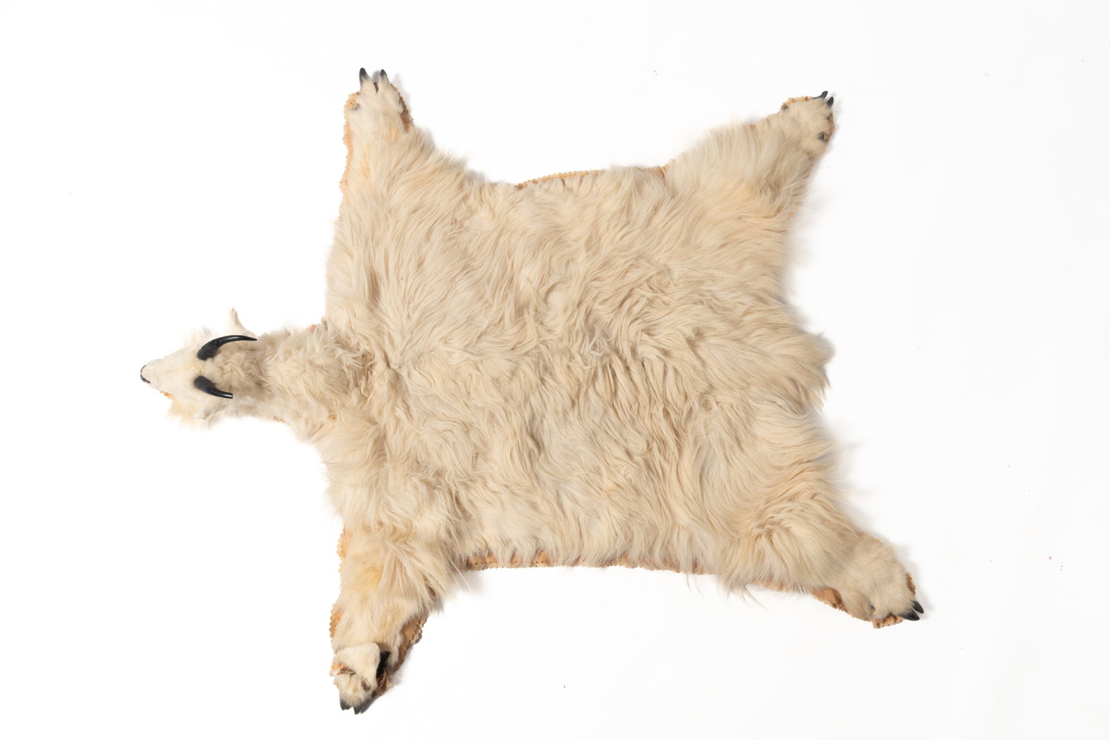 ROCKY MOUNTAIN GOAT RUG. (1 of 8)