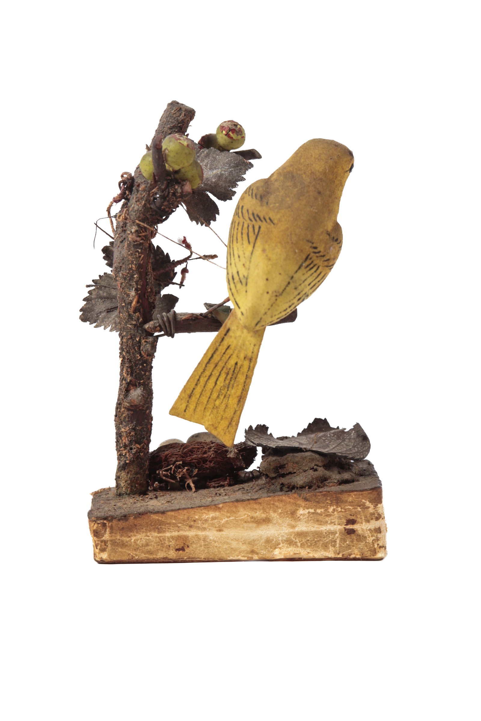 PAINTED BIRD IN TREE PIPSQUEAK. - 4