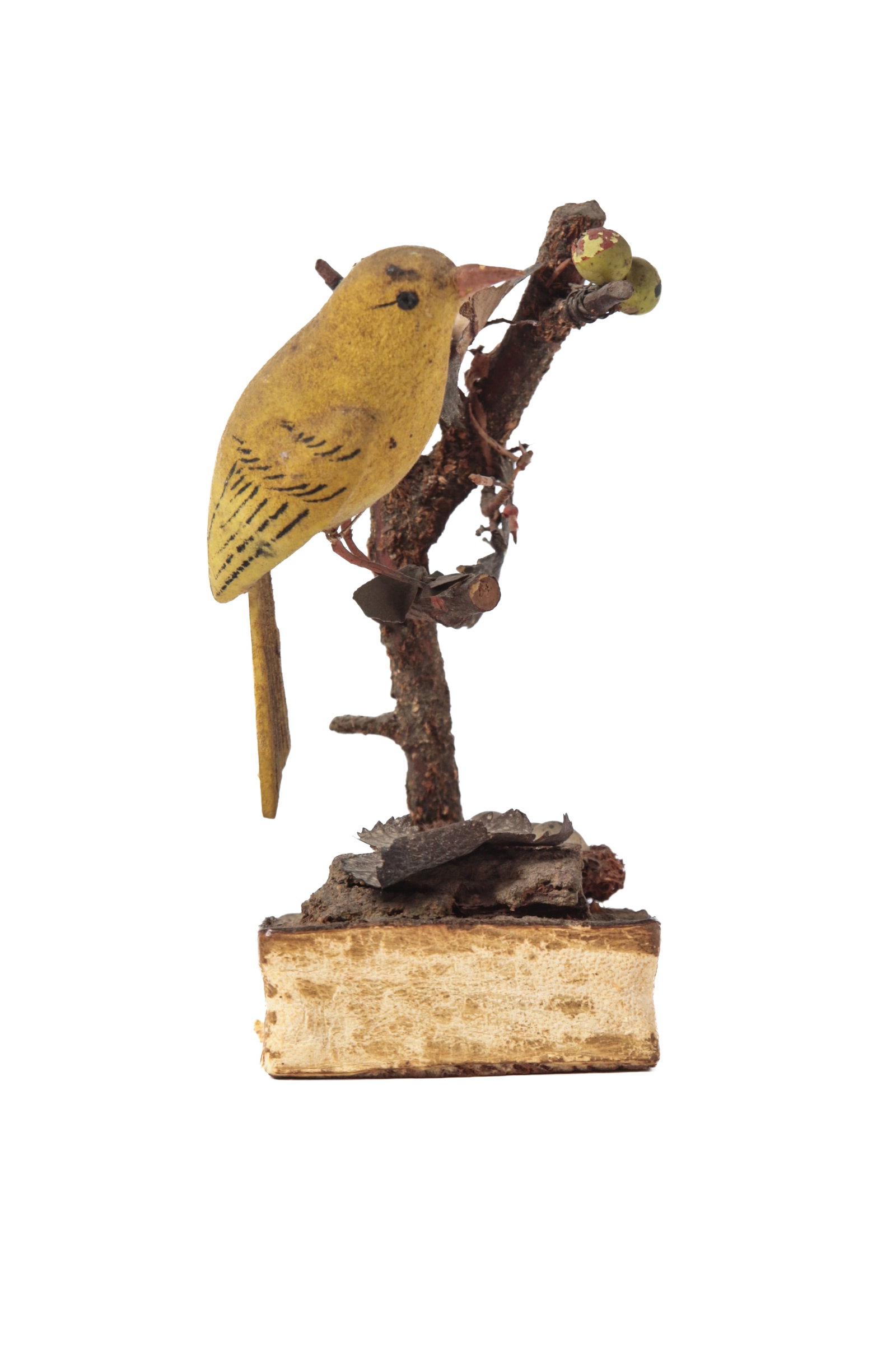 PAINTED BIRD IN TREE PIPSQUEAK. - 5