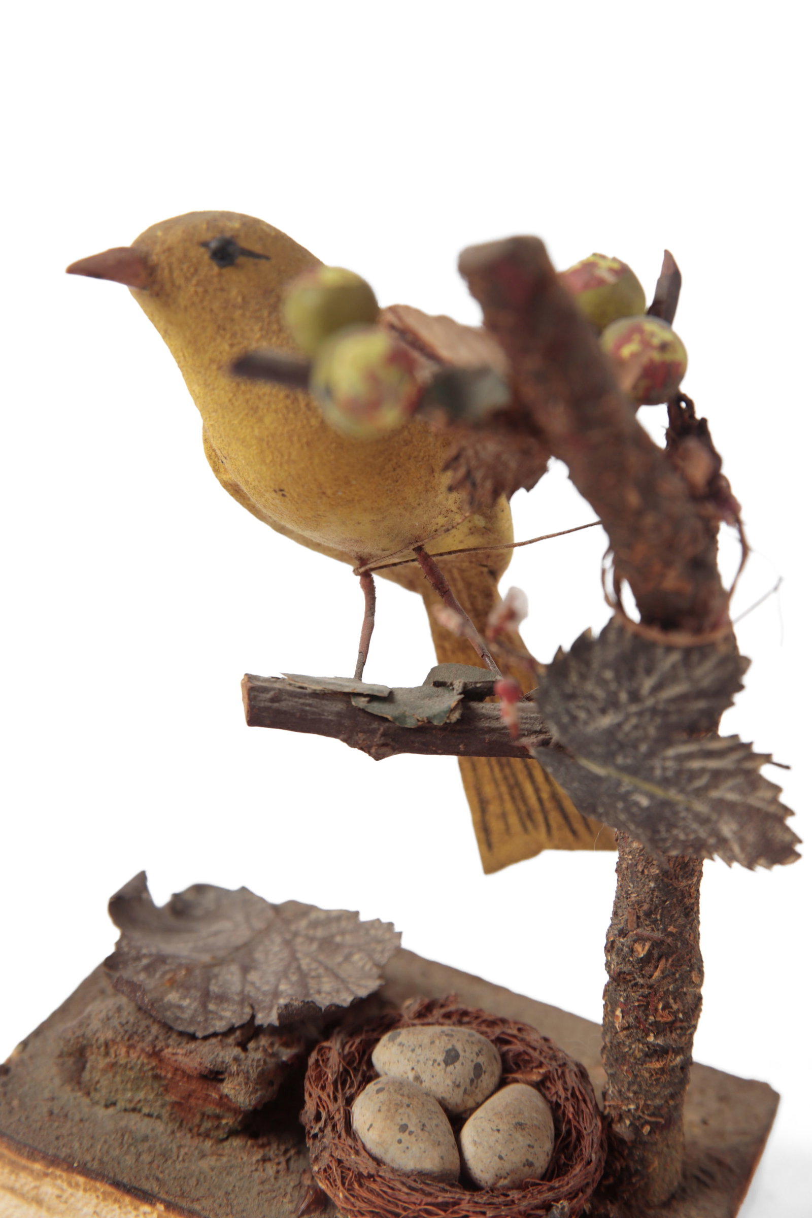 PAINTED BIRD IN TREE PIPSQUEAK. - 8