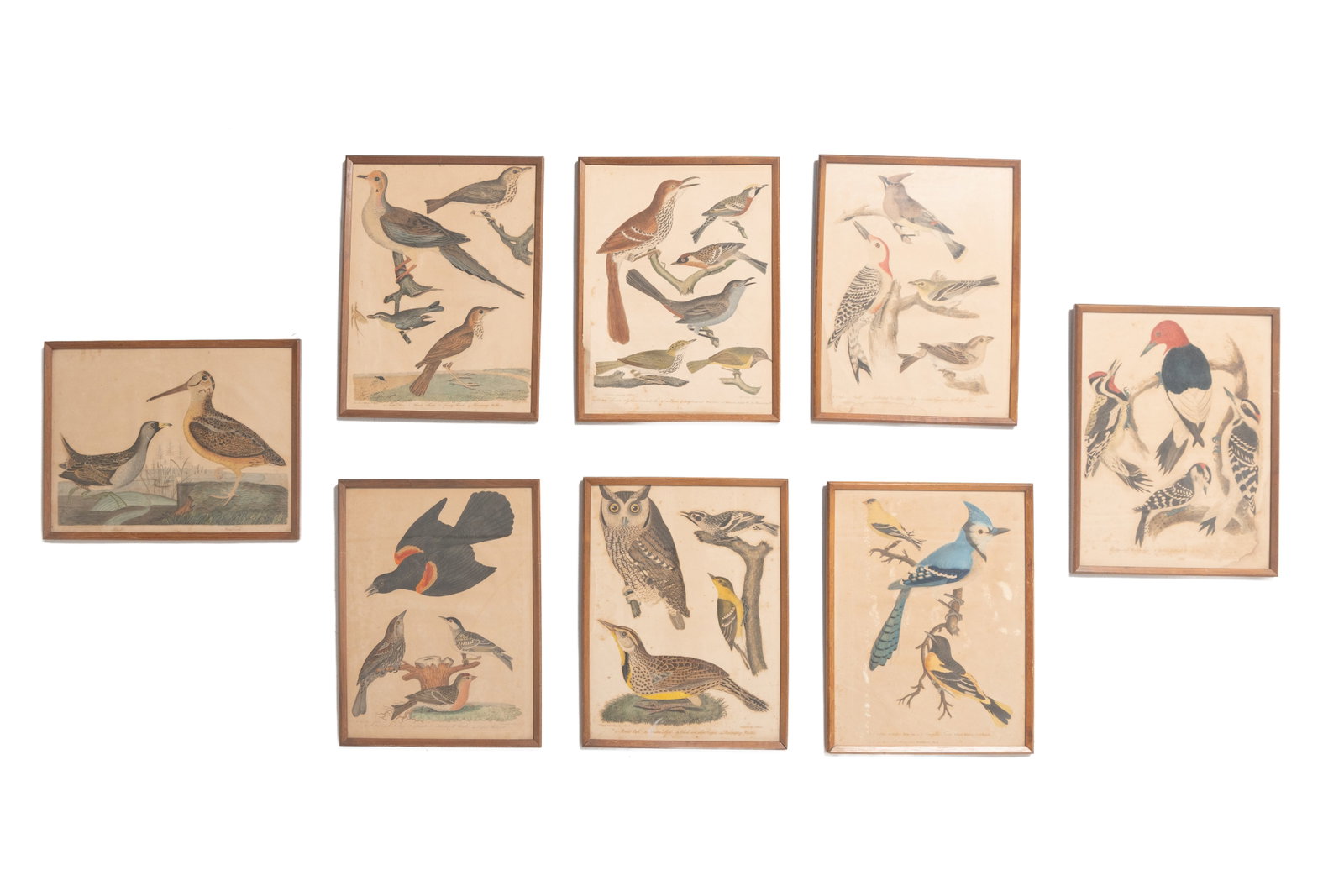 AFTER ALEXANDER WILSON (SCOTTISH-AMERICAN, 1766-1813) EIGHT ENGRAVINGS OF BIRDS. (1 of 15)