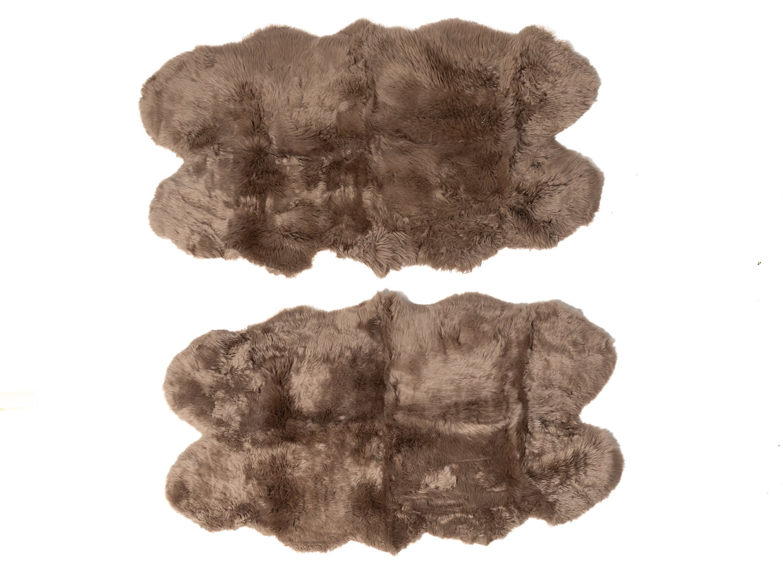 TWO LARGE AUSTRALIAN AND NEW ZEALAND NATURAL SHEEPSKIN RUGS. (1 of 3)