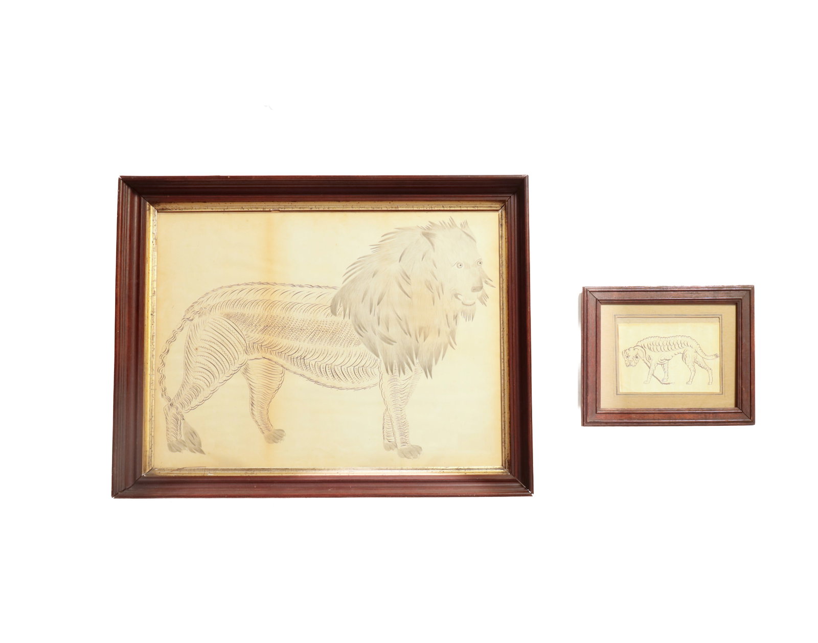 TWO FRAMED SPENCERIANS OF ANIMALS.: TWO FRAMED SPENCERIANS OF ANIMALS. American, late 19th or early 20th Century. The larger, a standing lion with big mane and decorative fur, in a cove-molded frame with gilt liner behind glass,
