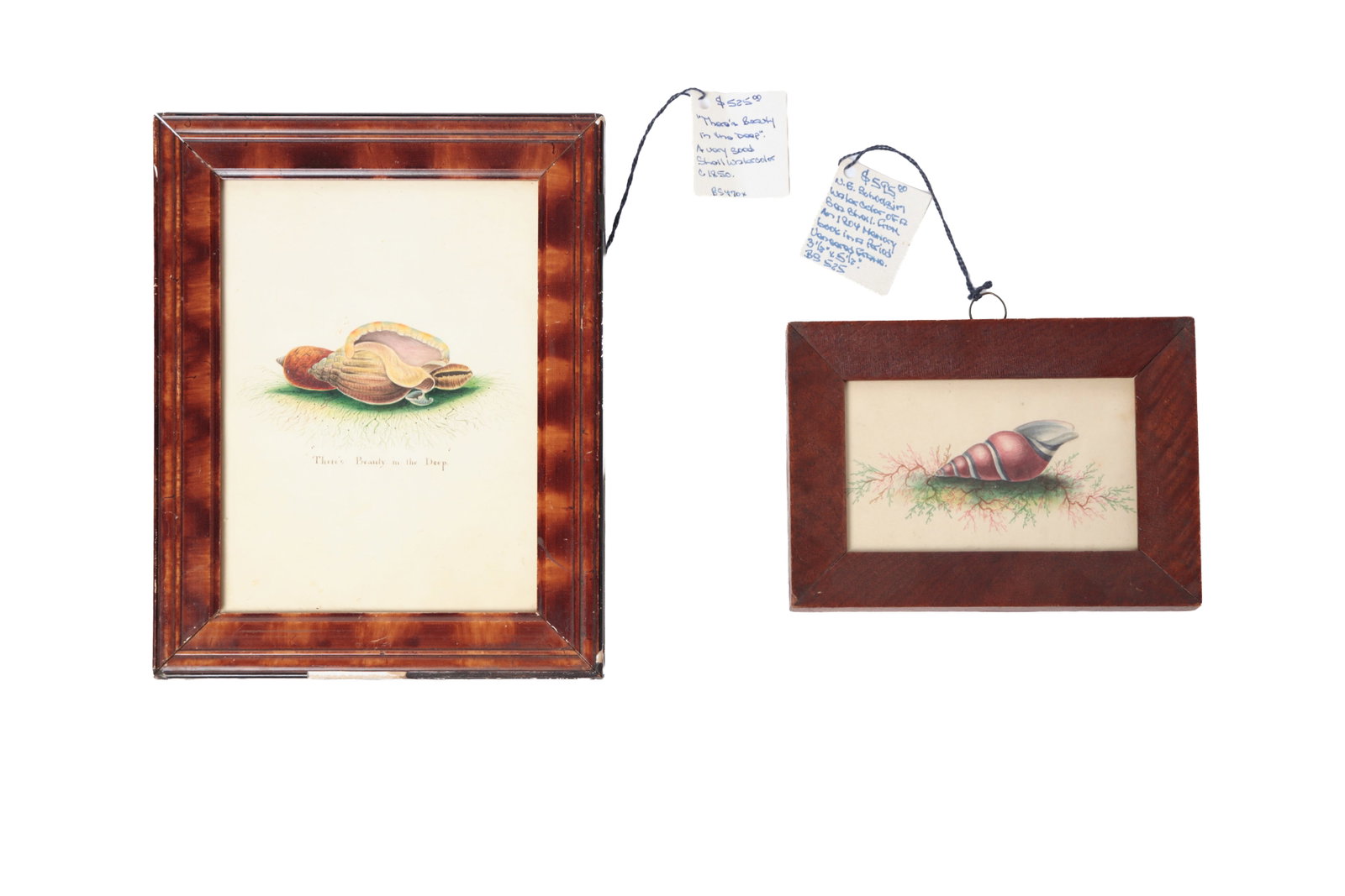 TWO NEW ENGLAND FRAMED SCHOOLGIRL WATERCOLORS OF SHELLS.: TWO NEW ENGLAND FRAMED SCHOOLGIRL WATERCOLORS OF SHELLS. American, mid- 19th Century. Watercolor and gouache on paper. One reading "There's Beaty in the Deep" under multiple polychrome shells in a