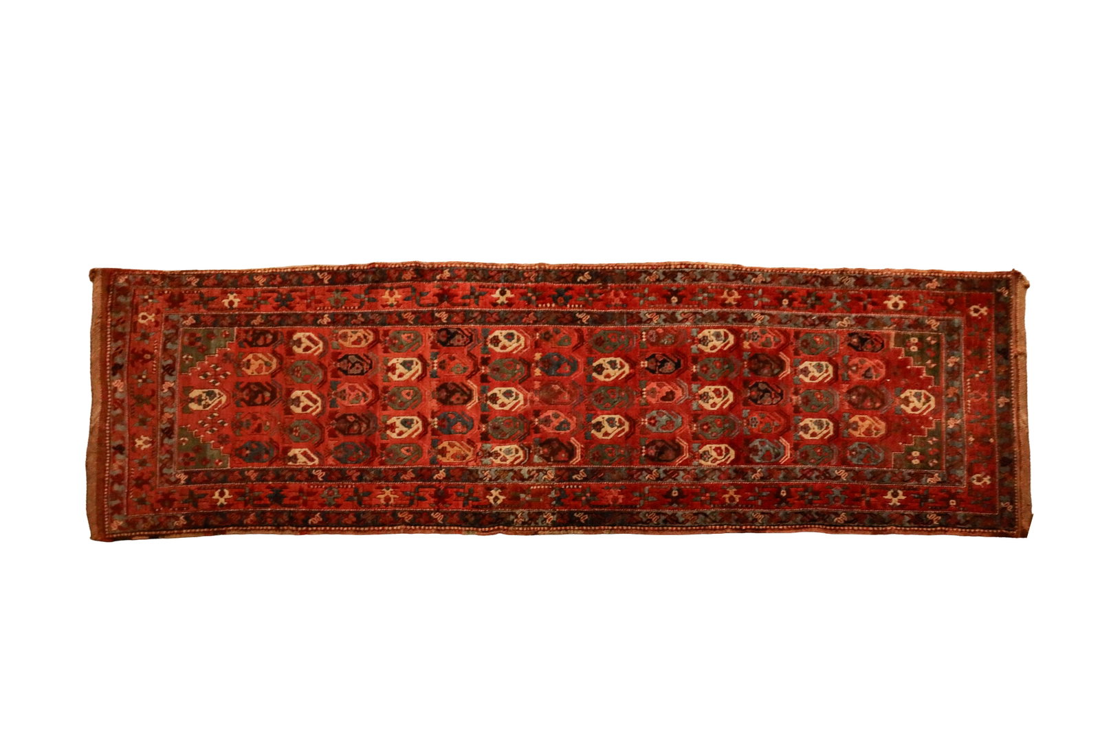SHIRAZ RUNNER. (1 of 1)