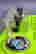 item-79992413=5