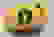 item-81043154=6