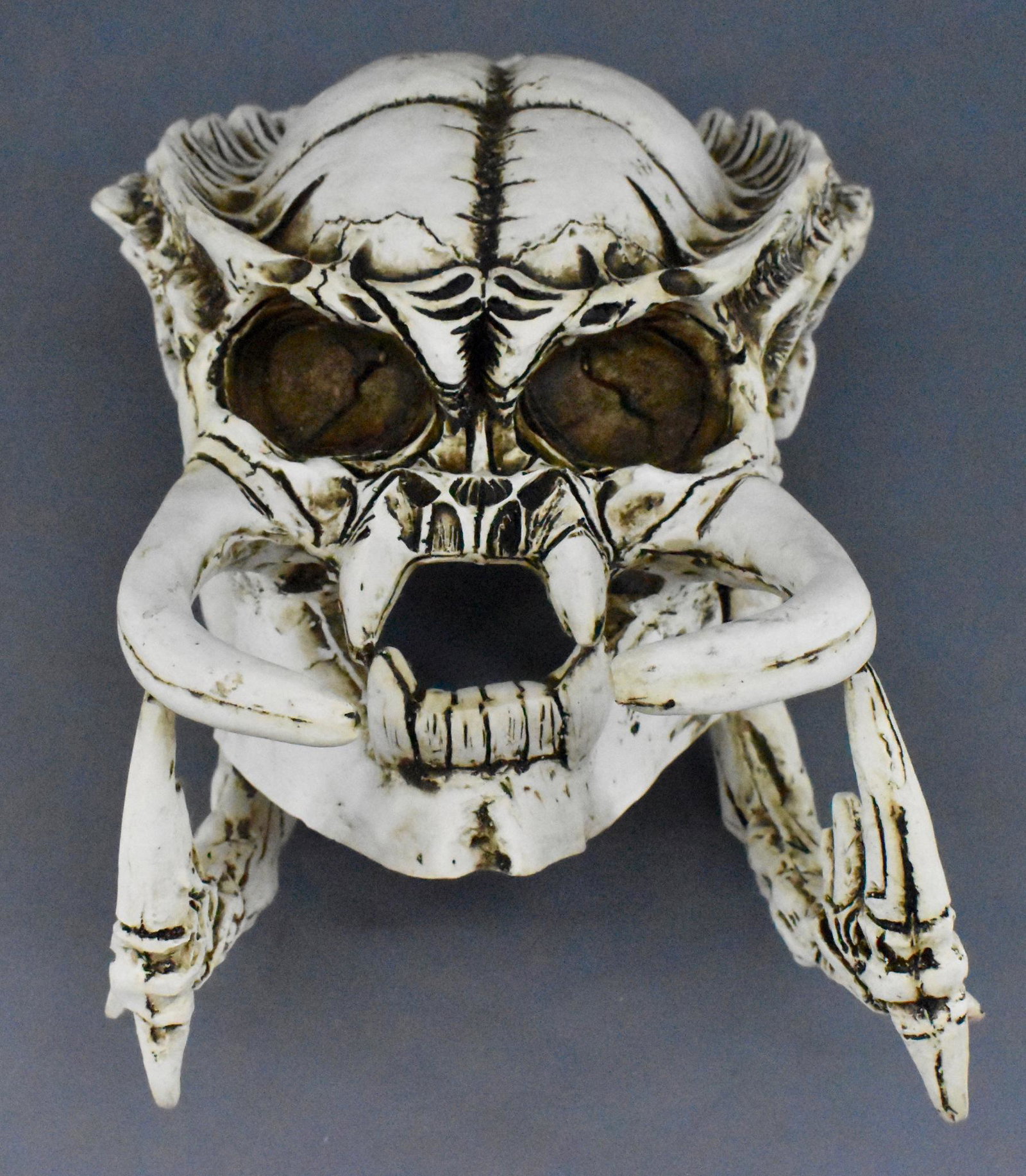 Unknown maker Cast Predator Skull: Skull measures about 12" front to back and about 6" across and 7" tall. We believe it is resin, though not positive of composition.
