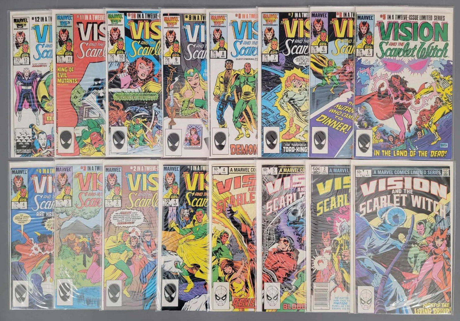 Vision and the Scarlet Witch series 1-4 AND 1-12: Vision and the Scarlet Witch series 1-4 AND 1-12, all books are 6.0 to 8.5 as seen in the photos. All books in this group come bagged and boarded.