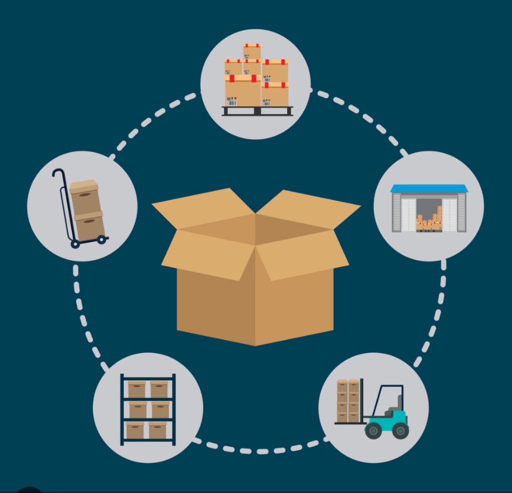 2002 Steiff 14 inch JCPenney 100th anniversary teddy bear in original box (1 of 8)