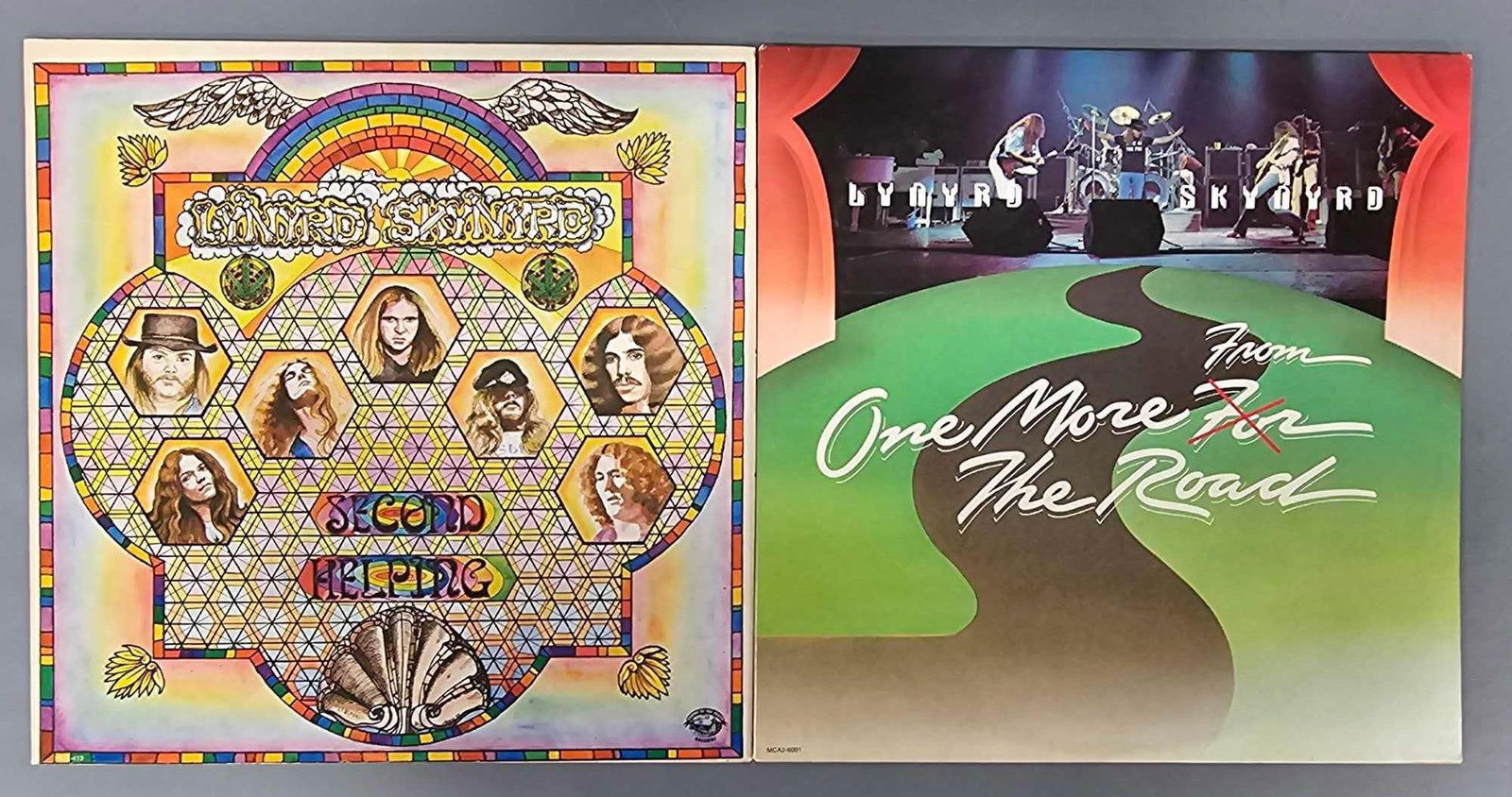 Two Lynyrd Skynyrd vinyl LPs (1 of 8)