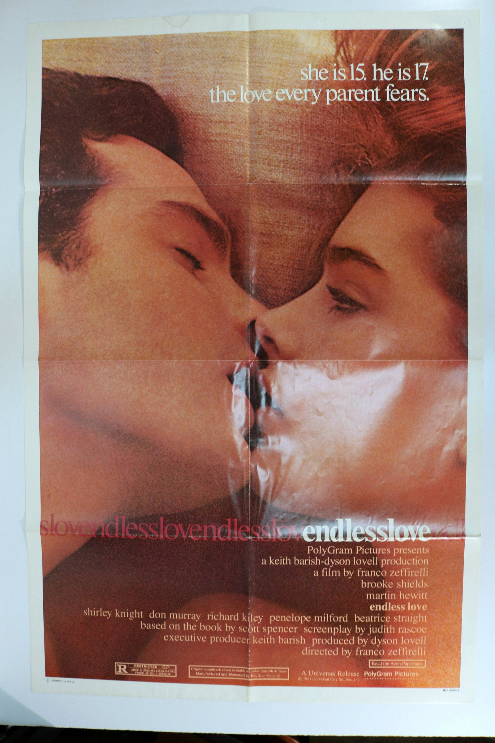 Endless Love (Universal City,1981). One Sheet (27"x41"): Endless Love (Universal City,1981). One Sheet (27"x41") Brooke Fields