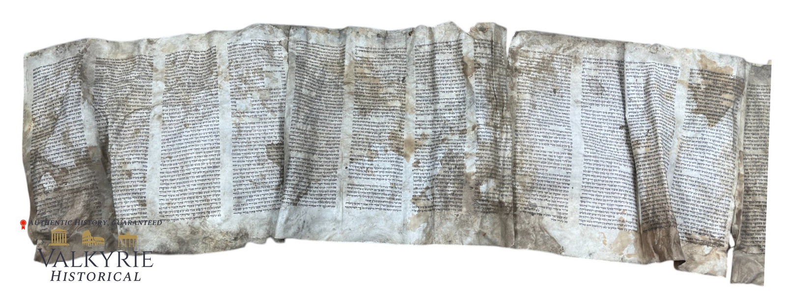 Holocaust - Piece of Old Torah Scroll Found in Poland: Big piece of Torah scroll found in a flea market in Poland some years ago. This sheet belongs to a very old Torah scroll that was probably plundered from a Polish synagogue during the Shoah carried ou