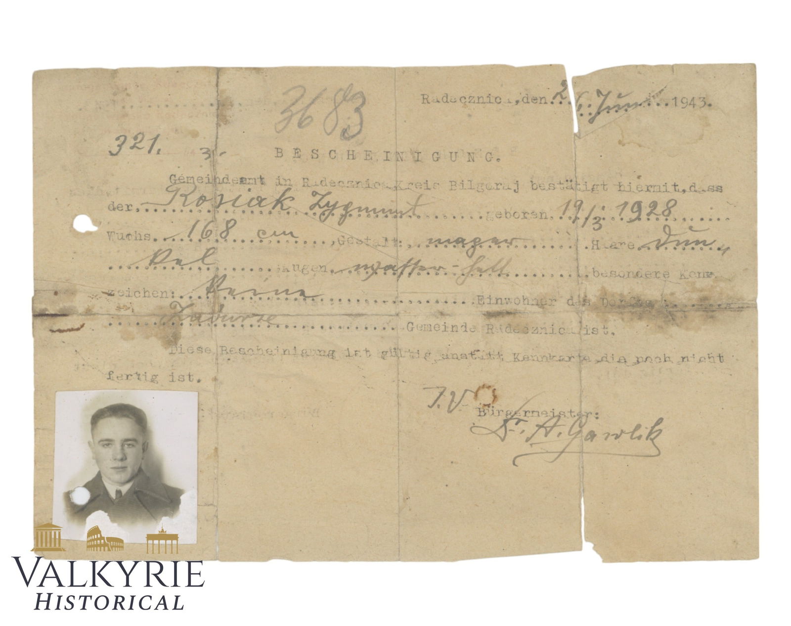 Certificate Issued in 1943 to a Young Man in Poland That States He Hasn't Finished Yet a Training (1 of 2)