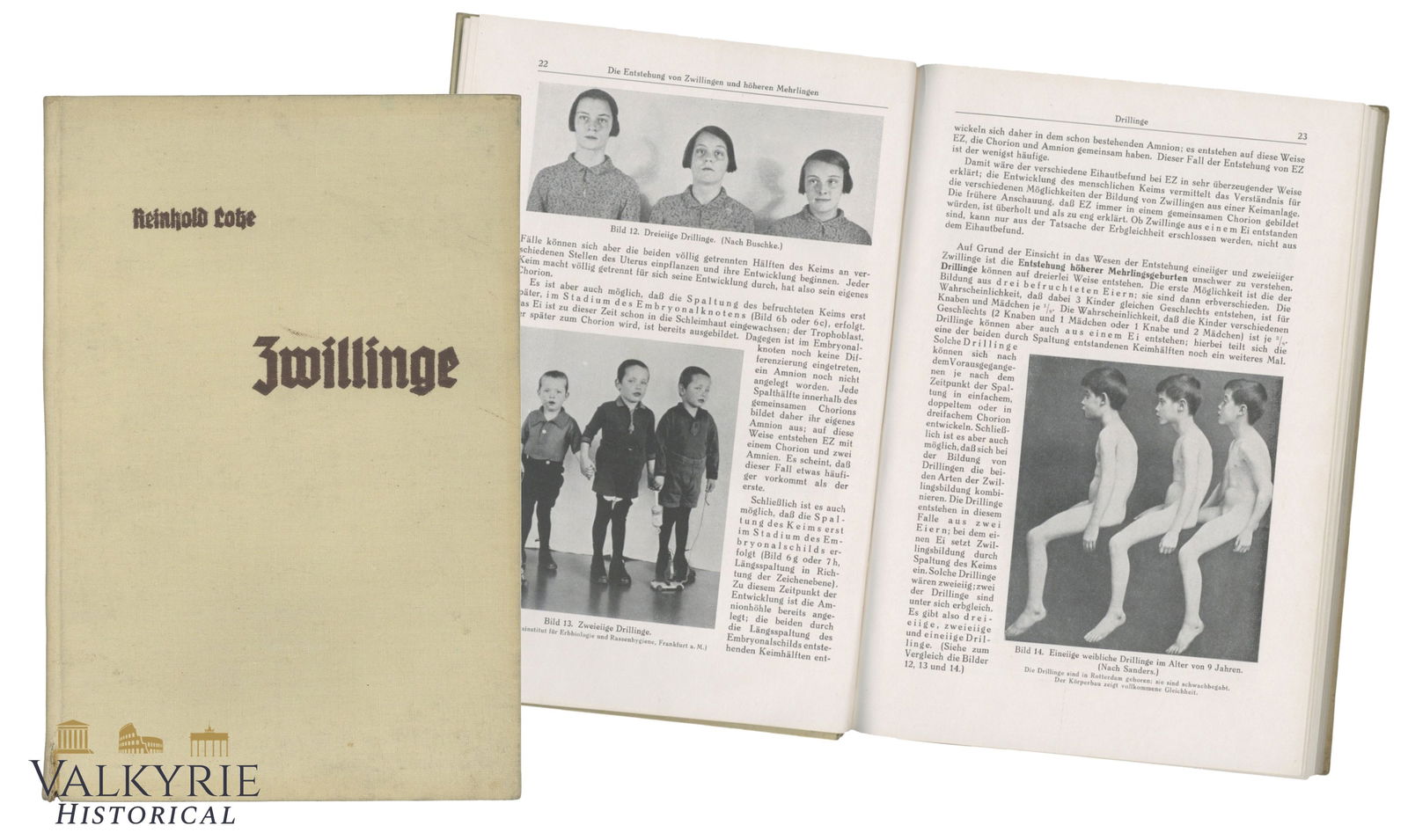 The book is Twins written by R. Lotze. The main topic of J. Mengele's research in Auschwitz: The book is Zwillinge: Einführung in die Zwillingsforschung (Twins: Introduction to Twin Research), written by ReinholdIt is a scientific book on twin studies and genetics, published in 1937 in Germa