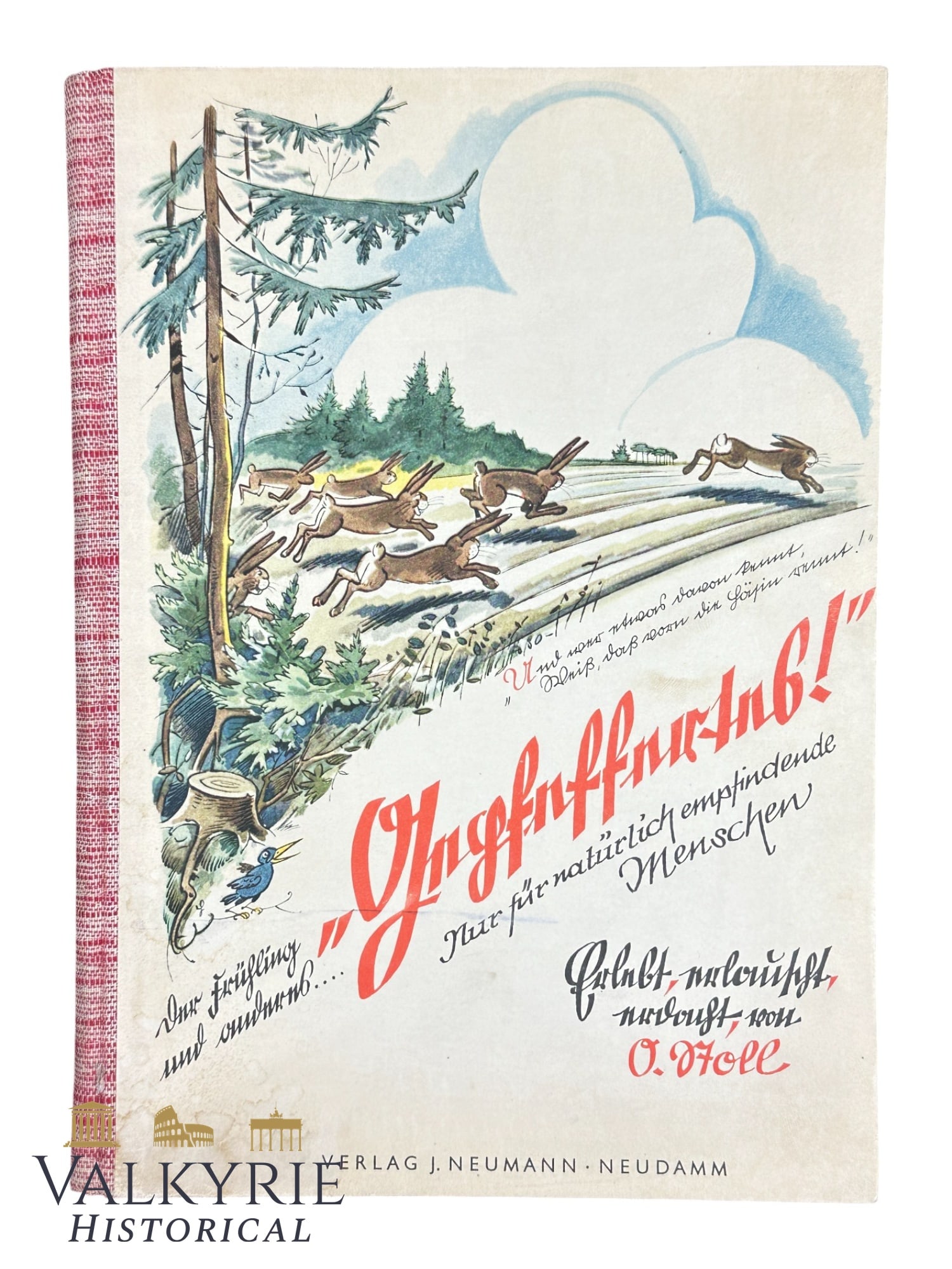 Rare Illustrated Anti-Semitic Book "Spring And Other Peppery Stuff" by Otto Stoll - Sutterlin Script (1 of 16)