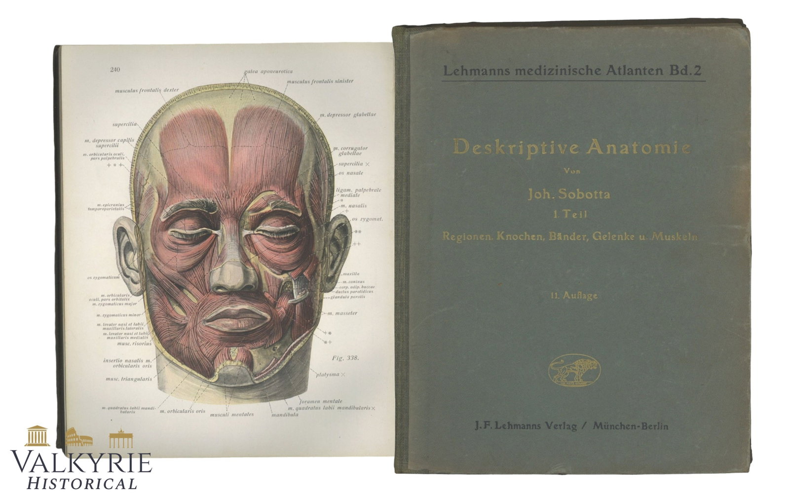German Scientific Book on Anatomy "Atlas of the Descriptive Anatomy of Humans" by J. Sobotta: German Scientific Book on Anatomy "Atlas of the Descriptive Anatomy of Humans" by J. Sobotta. Hard cover. Illustrated with some colour prints. J. F. Lehmann Verlag - Munich - Berlin. 221 pages. 1939. 
