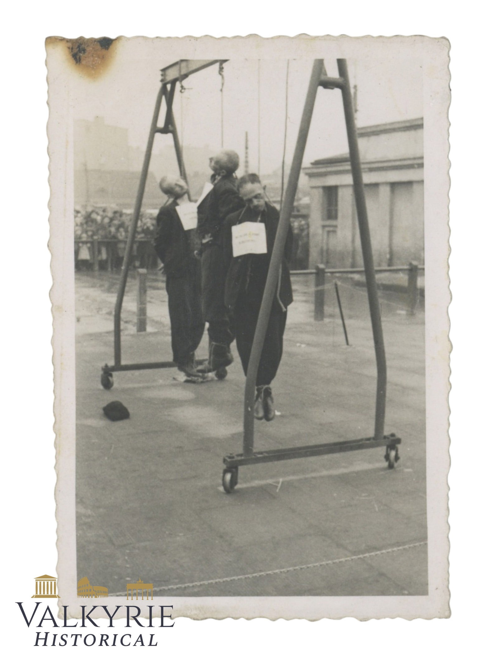 Terrible Photo of 3 Men Executed by Hanging by Germans in Sandomierz , Poland: Terrible Photo of 3 Men Executed by Hanging by Germans in Sandomierz in Poland. Partisans, Jews or political enemies. On the reverse it reads "Kultura niemiecka" (German Culture). Shipping flat cost $