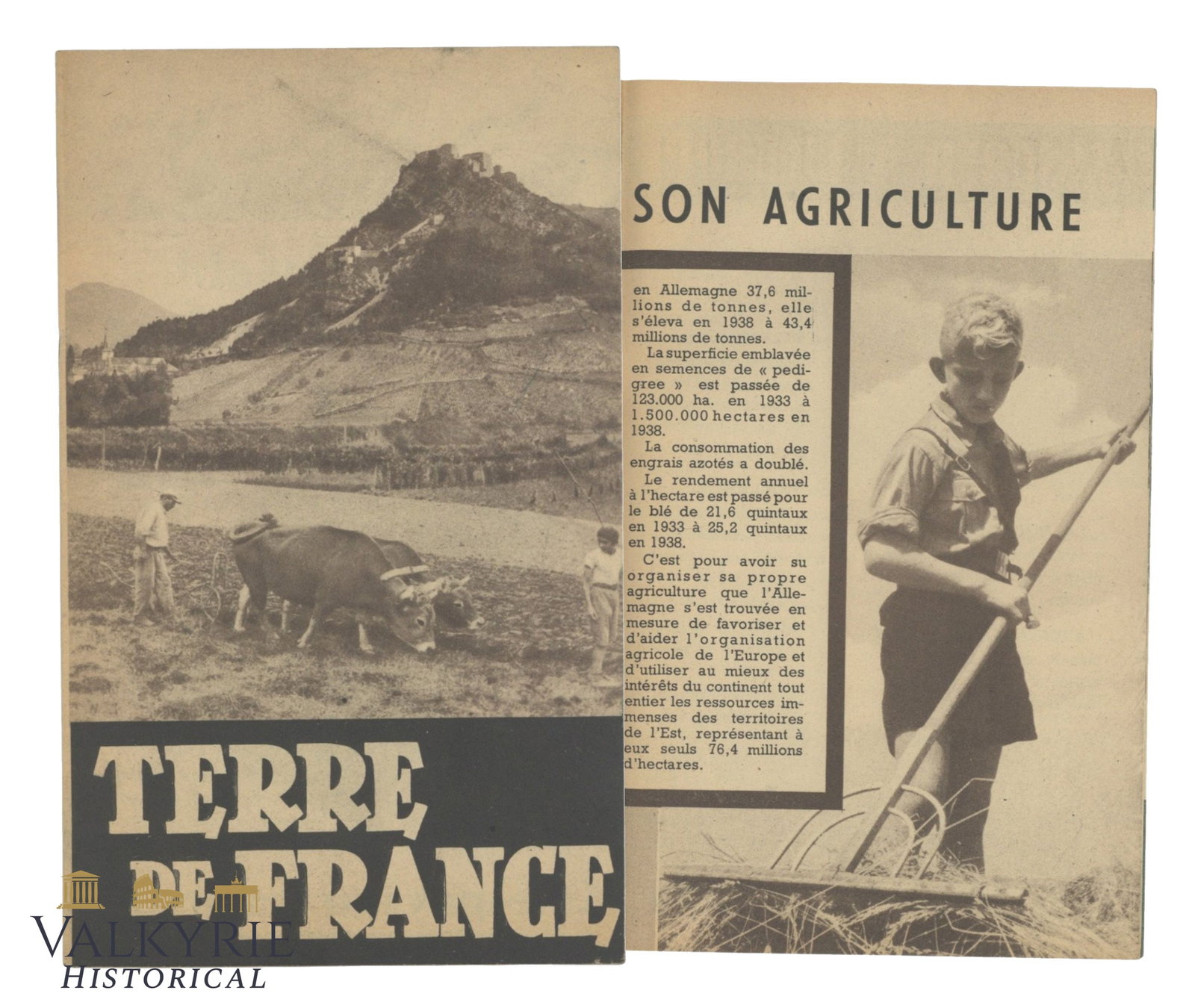 French WW2 Period Anti-Bolshevik and Anti-Jewish Propaganda Booklet "Land of France": French WW2 Period Anti-Bolshevik and Anti-Jewish Propaganda Booklet "Land of France". It talks about communism in France and Russia connecting it to poverty, starvation, destruction of the agriculture