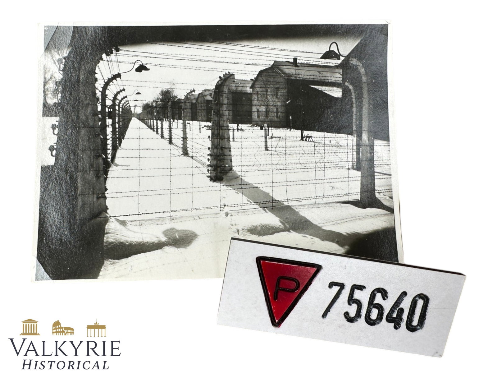WWII Auschwitz Concentration Camp Historical Set: Prisoner Badge & Photograph: Auschwitz Concentration Camp Historical Set: Prisoner Badge & Photograph1. Item Overview & Specifications Artifact Type: Historical documentation set comprising a commemorative post-war prisoner
